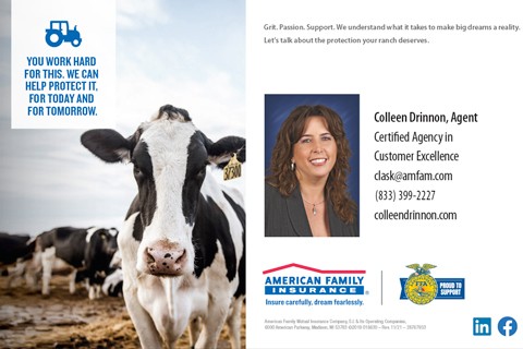 American Family Insurance